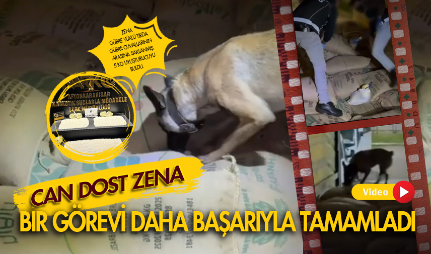 Can dost ZENA bir görevi daha başarıyla tamamladı